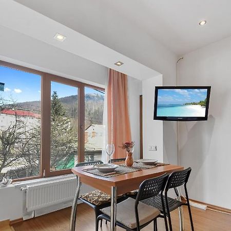 Cozy Montain Studio Apartment Sinaia Luaran gambar