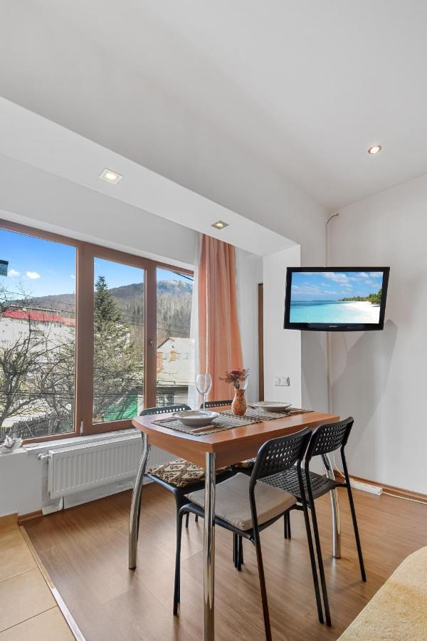 Cozy Montain Studio Apartment Sinaia Luaran gambar