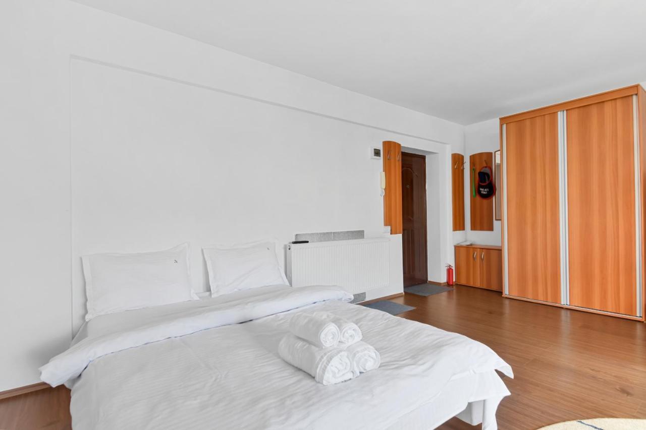 Cozy Montain Studio Apartment Sinaia Luaran gambar